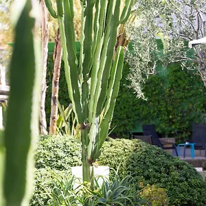 Mercure Centre Notre Dame Hotel Niza